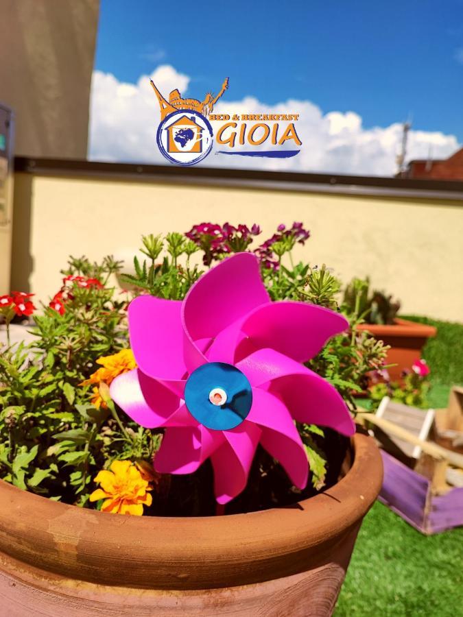 B&B Gioia カタンザーロ エクステリア 写真