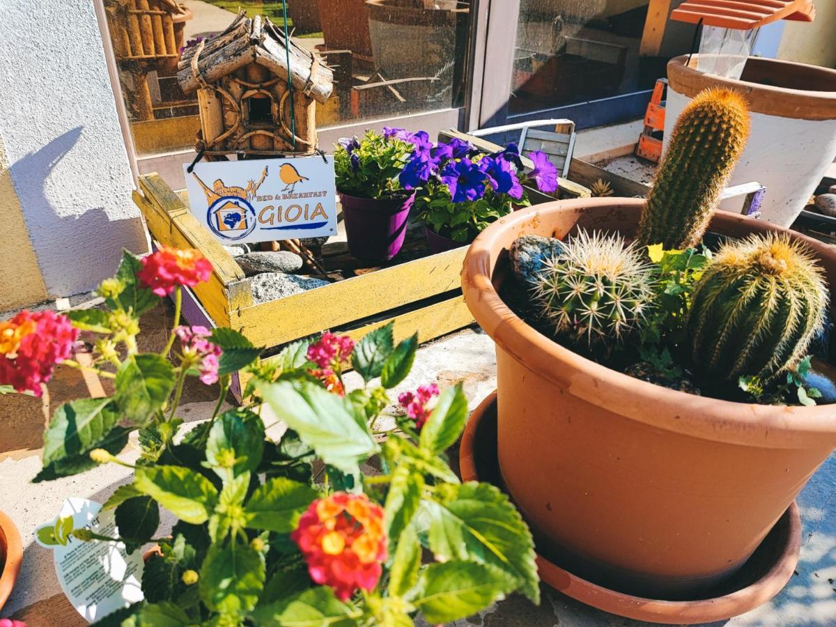 B&B Gioia カタンザーロ エクステリア 写真